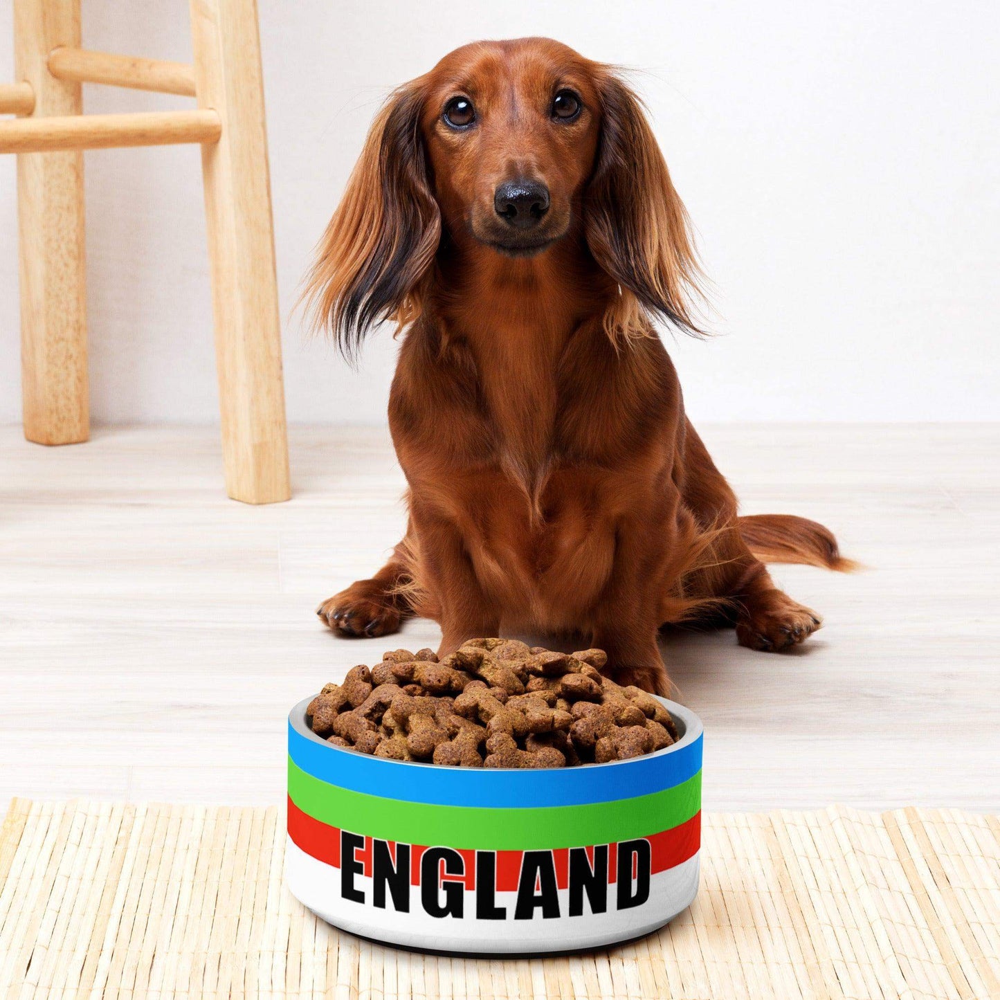 England Cricket Pet bowl - Game Yarns