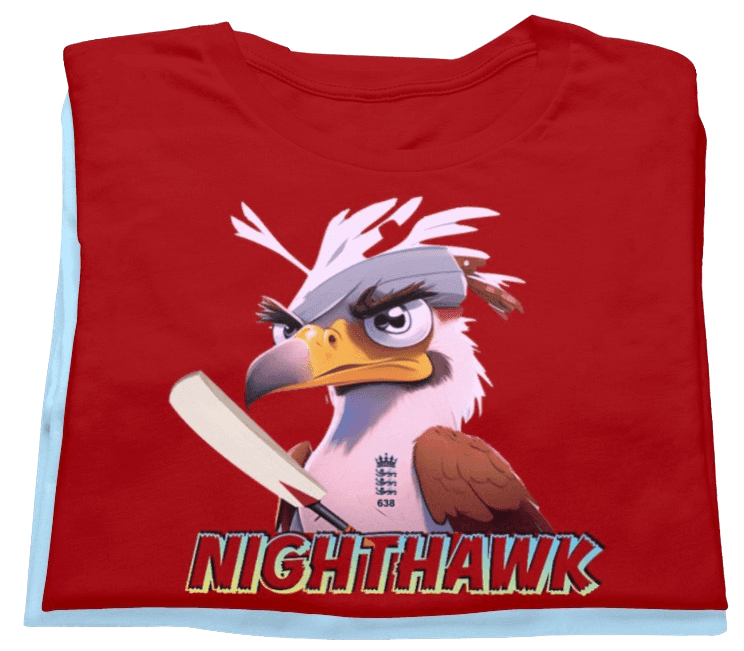 Stuart Broad as Nighthawk - Game Yarns