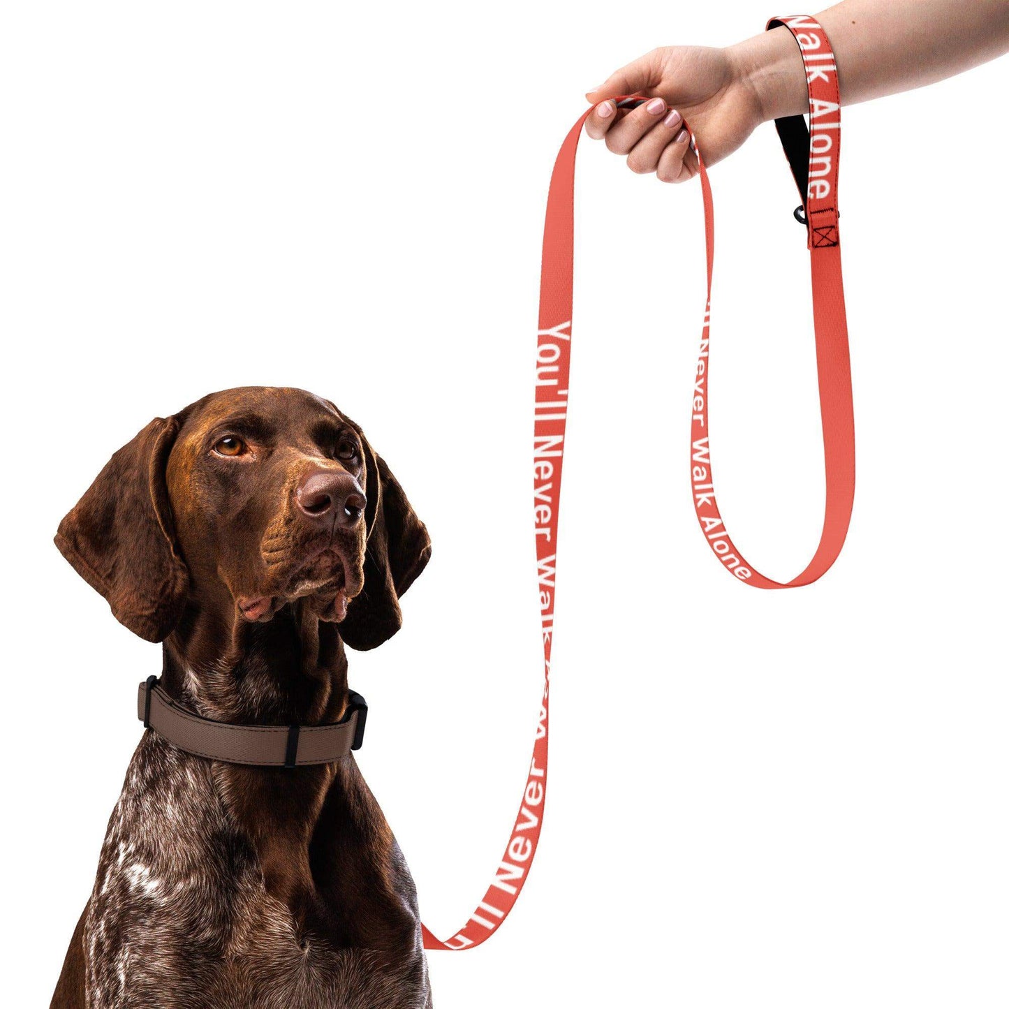 You'll Never Walk Alone Dog lead - Game Yarns