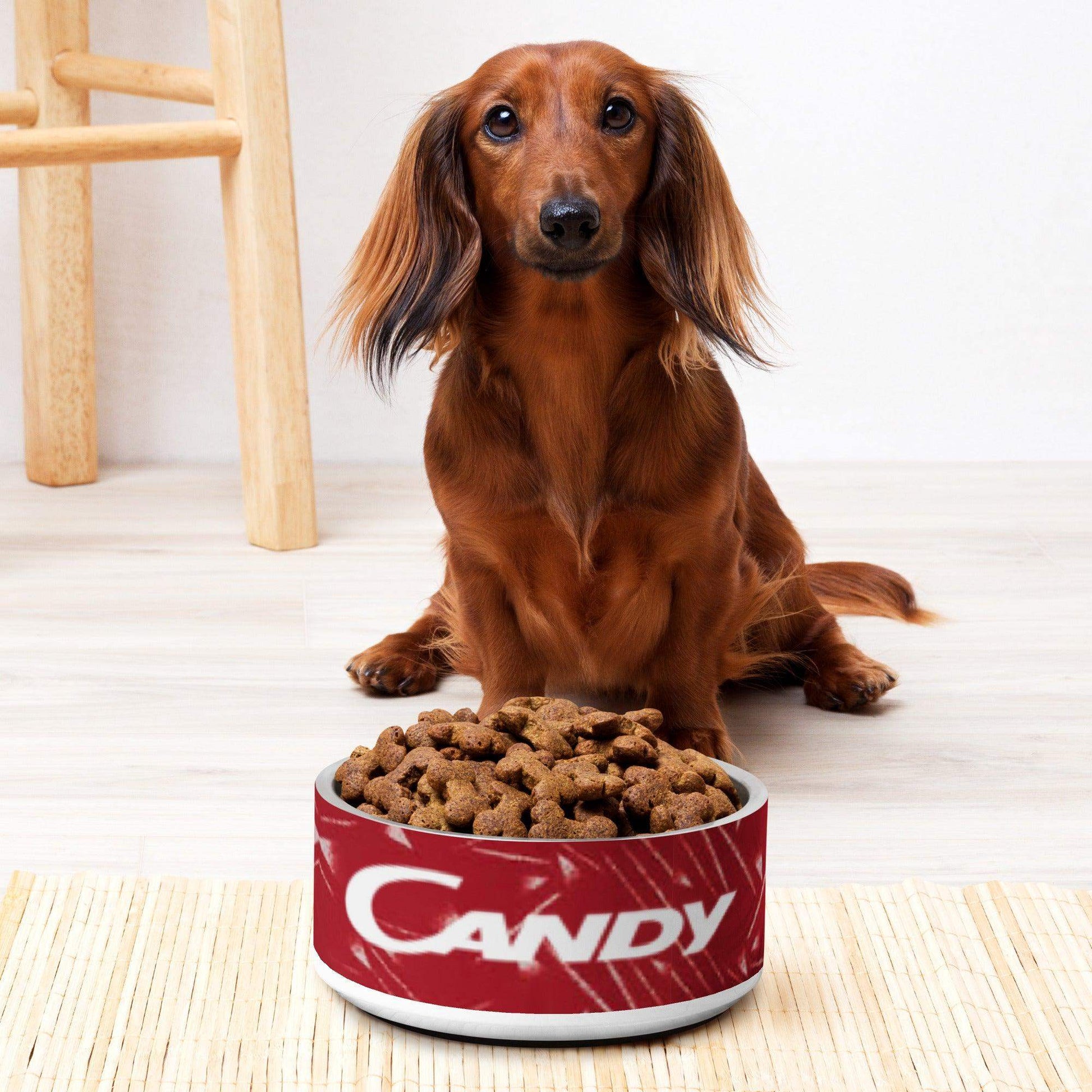 Liverpool Retro Pet bowl - Game Yarns